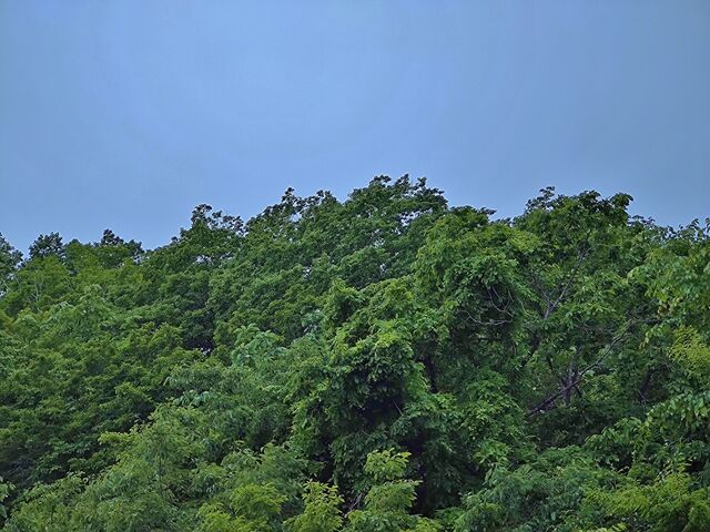 IMG_20220525_183600579