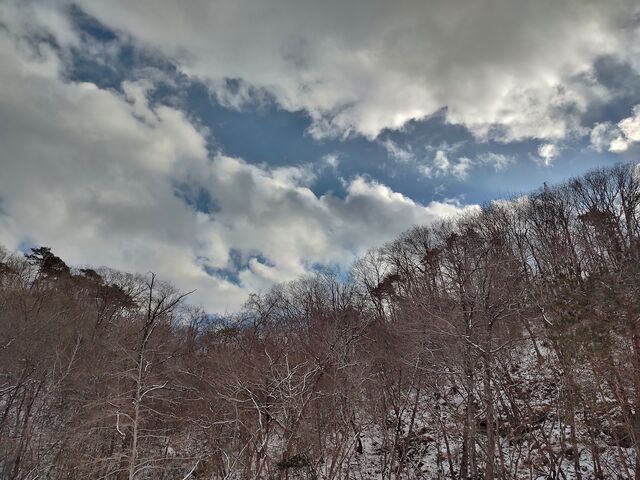 IMG_20220205_150600460_HDR