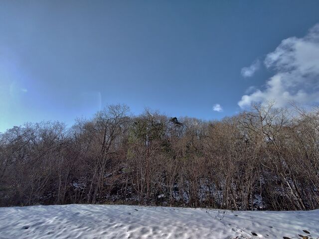 IMG_20220129_095419859_HDR