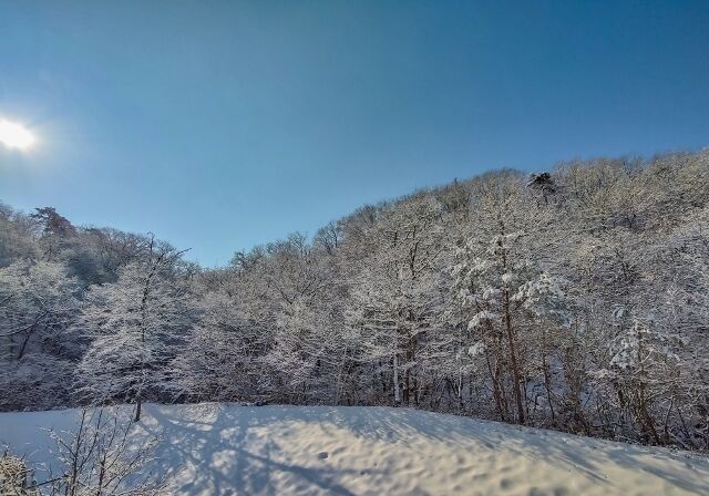 IMG_20220211_094453873_HDR_edited (640x448)