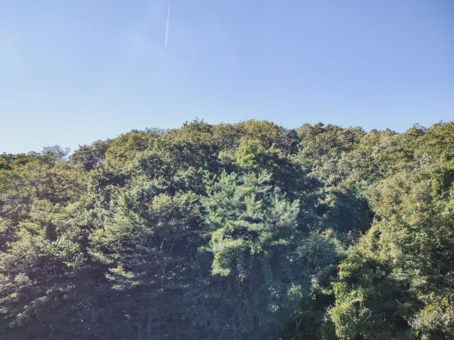 IMG_20220925_093042833_HDR_edited