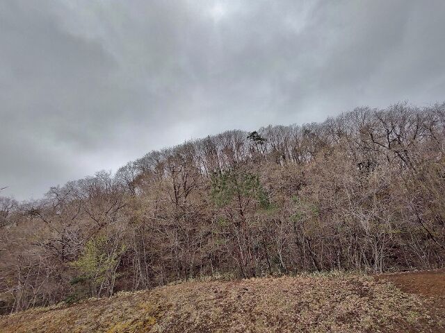 IMG_20220416_102702134_HDR (640x480)