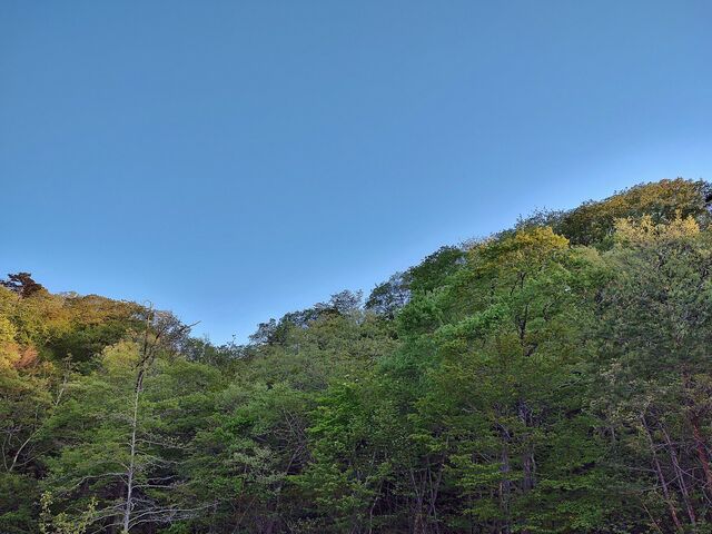 IMG_20220503_173309669_HDR