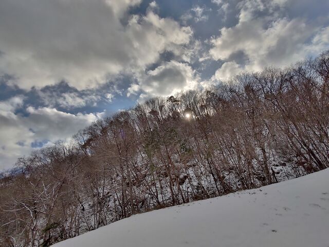 IMG_20220205_150627509_HDR