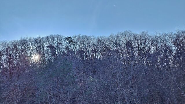 IMG_20221211_133740915_HDR