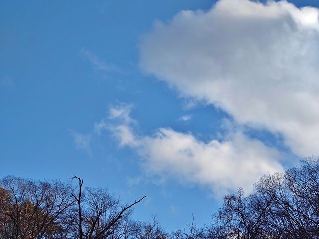 IMG_20220206_161129350