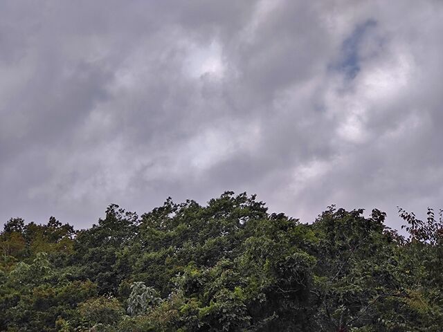 IMG_20220911_101547447
