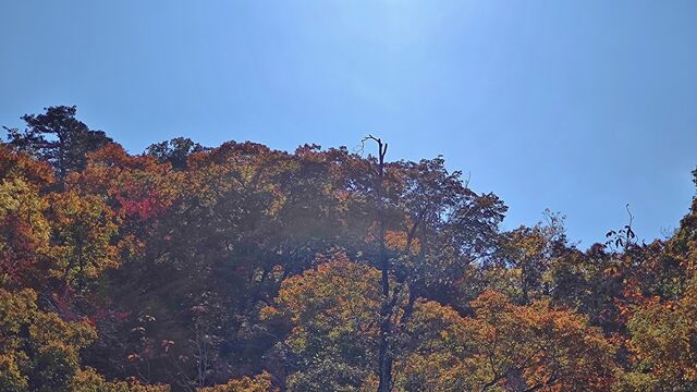IMG_20221103_102055526