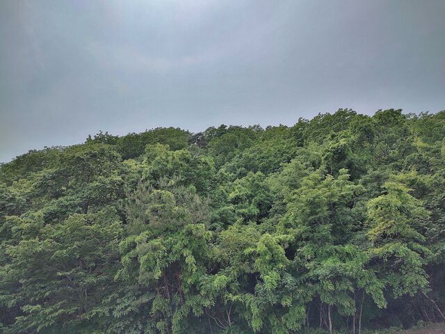 IMG_20220521_131134144_HDR