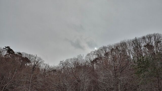IMG_20221229_122831715_HDR