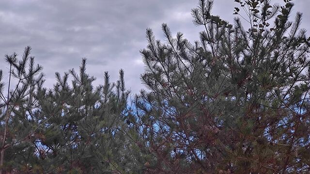 IMG_20221126_114915565
