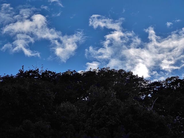 IMG_20221030_151918947