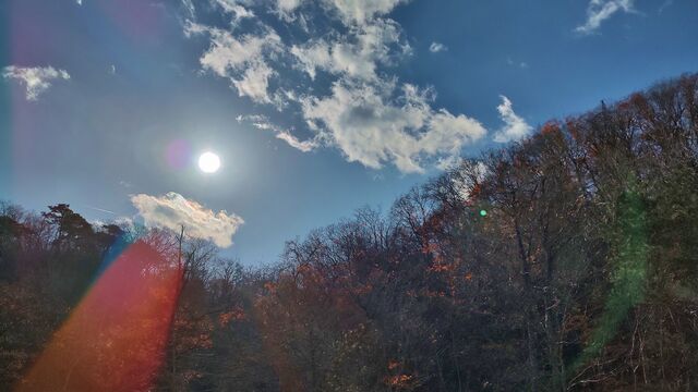 IMG_20221127_102556250_HDR