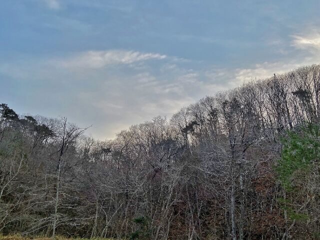 IMG_7533 (640x480)