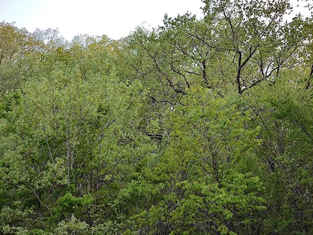 IMG_20220428_175613434