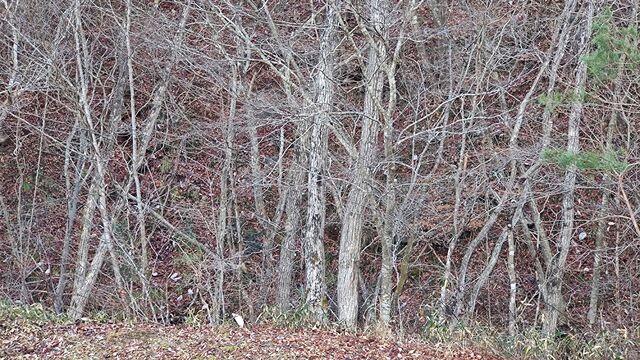 IMG_20221230_143755454