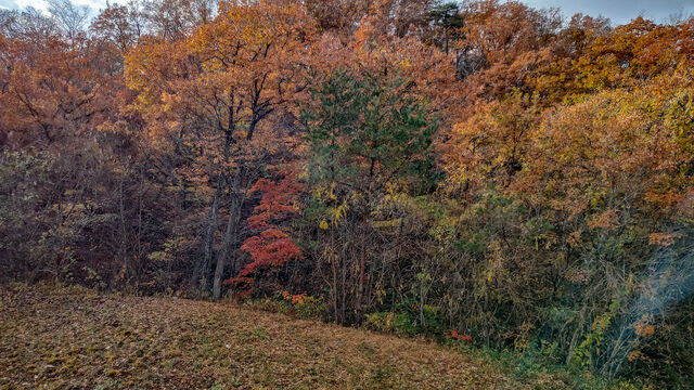 IMG_20221119_102157902_HDR_edited991