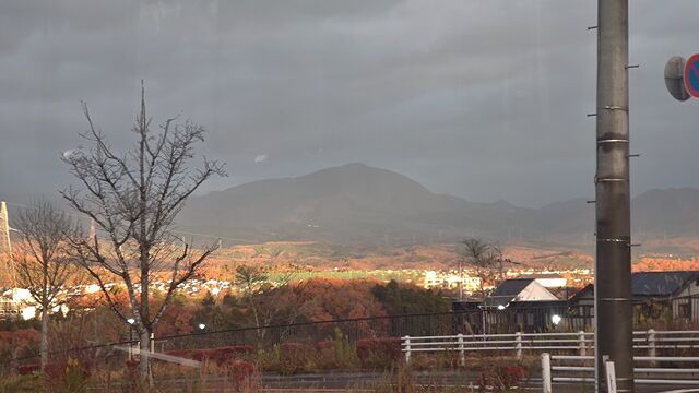 IMG_20221122_064959407