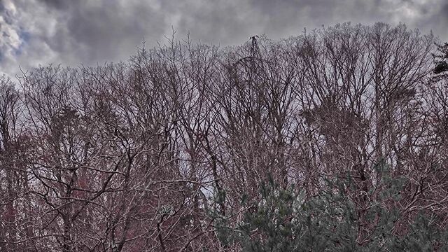 IMG_20221204_144728114-01