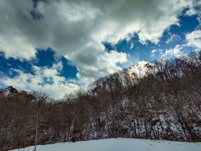 IMG_20220206_142134198_HDR_edited