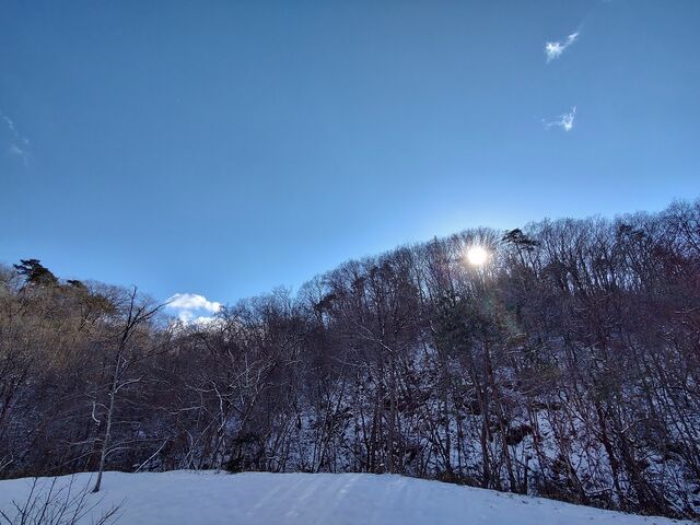 IMG_20220205_141940054_HDR