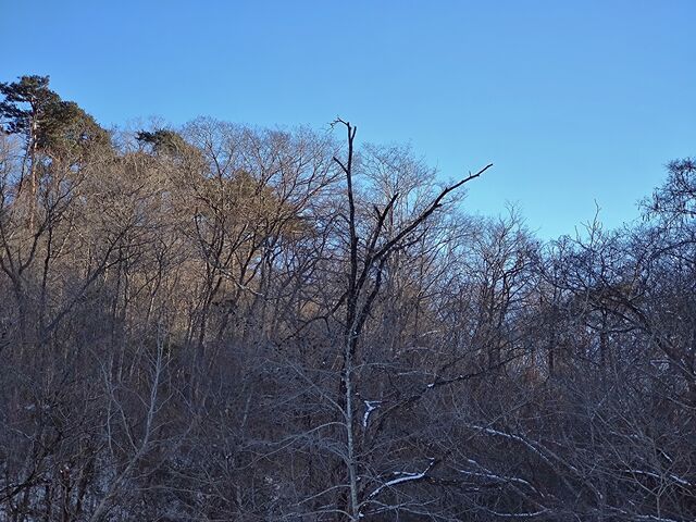 IMG_20220223_155148814