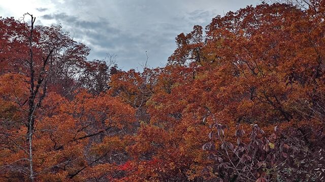 IMG_20221113_101407177