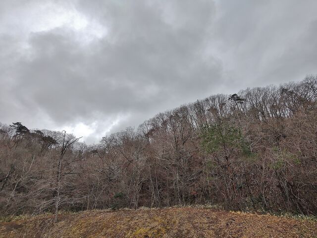 IMG_20220405_090846635