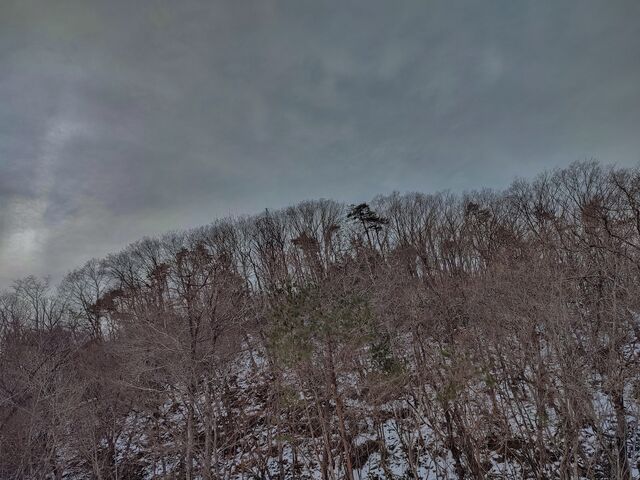 IMG_20220213_103901590_HDR_edited