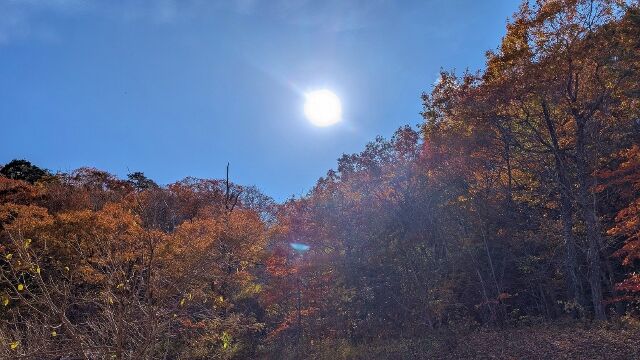 PXL_20251117_015820028 (640x360)