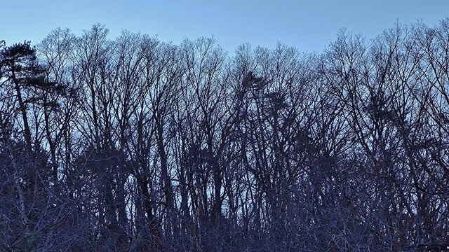 IMG_20221211_133836353