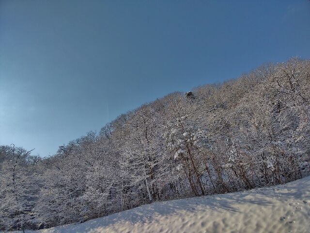 IMG_20220211_095043447 (640x480)
