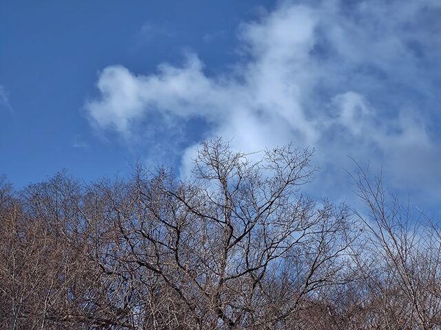 IMG_20220129_095438687