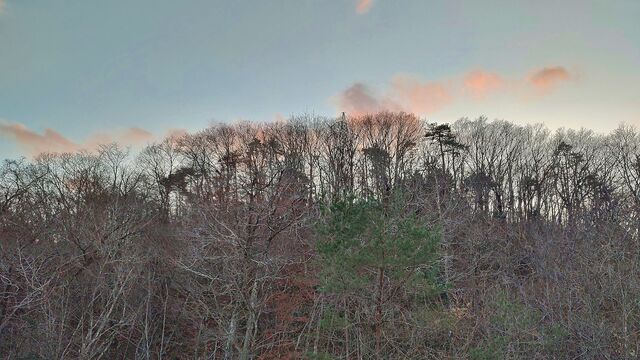 IMG_20221211_160605342_HDR