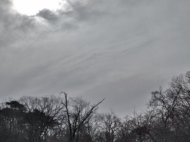 IMG_20220213_103939177