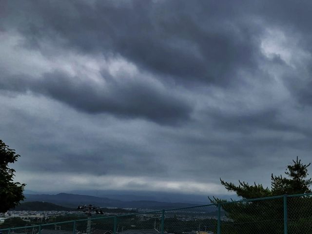 IMG_8201 (640x480)