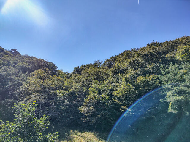 IMG_20220925_093037444_HDR_edited