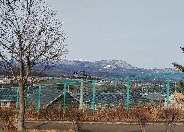 IMG_20220219_100309763 (640x461)