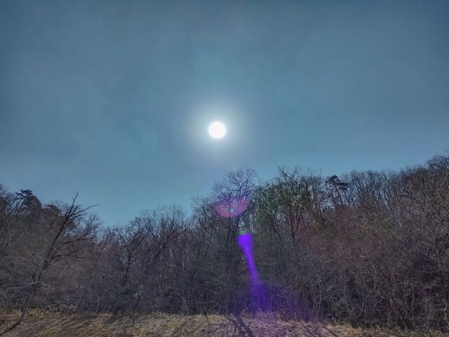 IMG_20220312_121920975_HDR_edited
