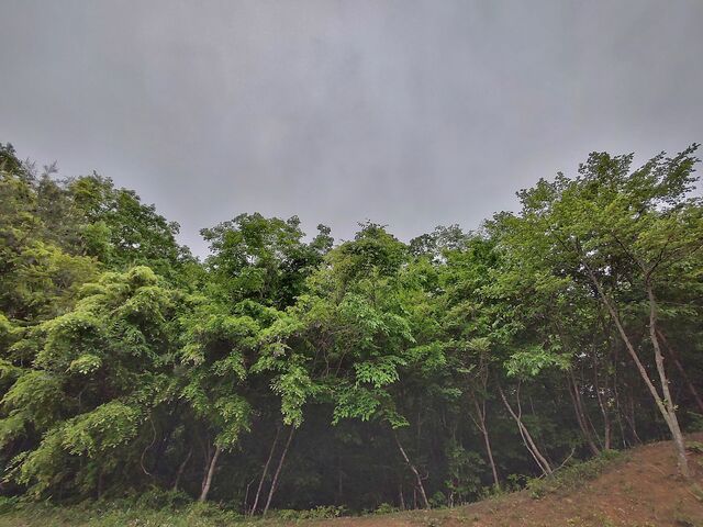 IMG_20220516_171031810_HDR