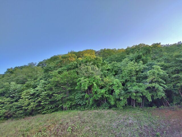 IMG_20220523_180514087_HDR