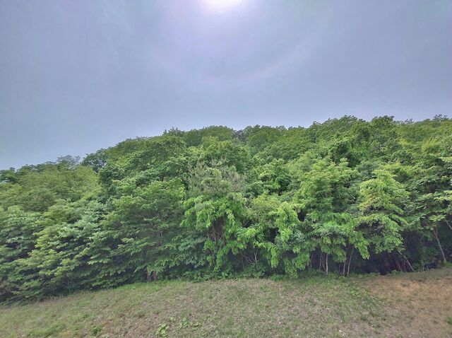 IMG_20220521_131155802_HDR