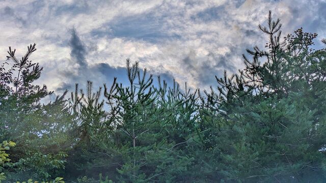 PXL_20240729_085538202.MP