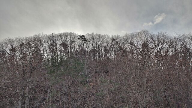 IMG_20221218_142010662_HDR