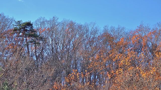 IMG_20221127_102648214