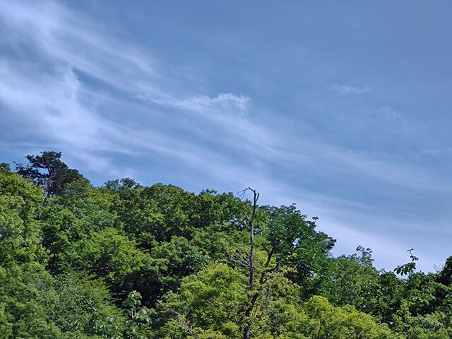 IMG_20220703_140251367