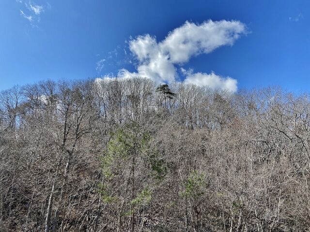 IMG_6166 (640x480)