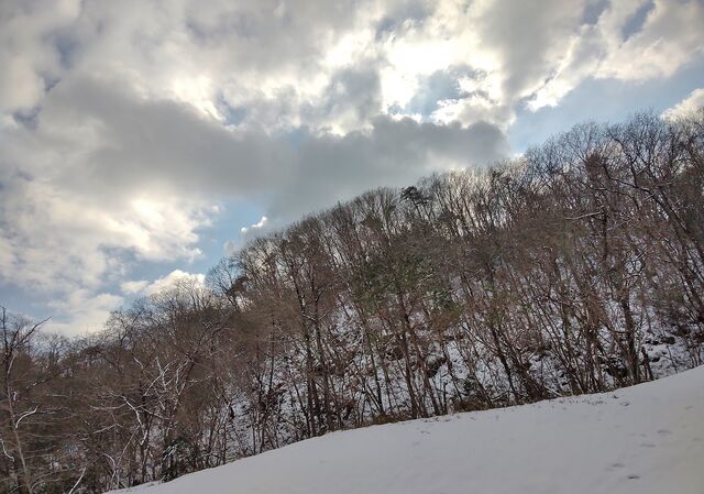 IMG_20220211_143735741