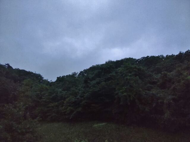 IMG_20220713_190522679