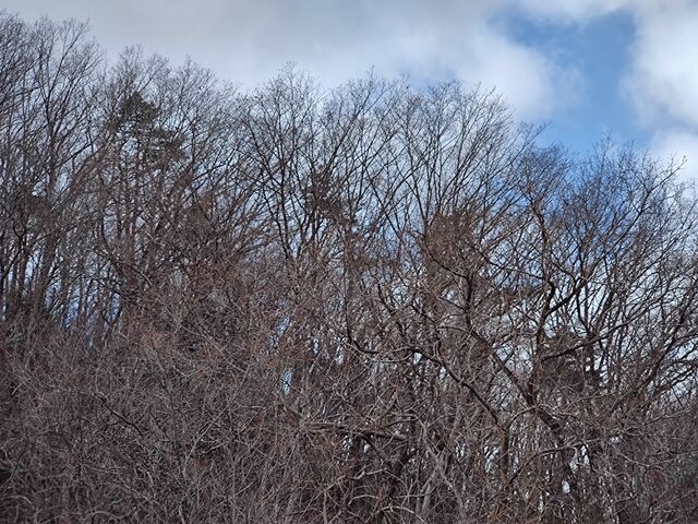 IMG_20220307_110312227
